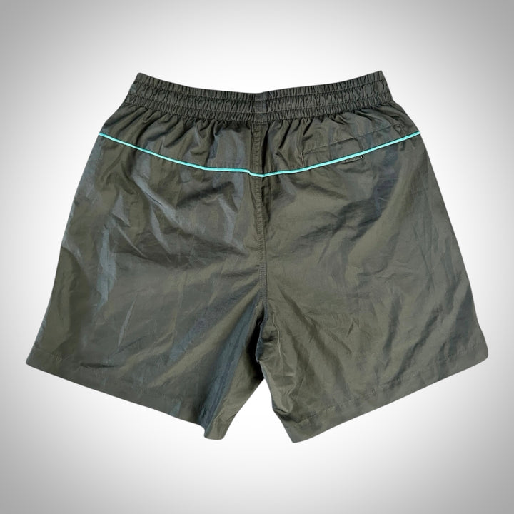 Nike Swim Shorts